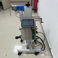 Grabador Láser de Fibra Industrial con Posicionamiento de Luz Roja para Marcado de Números de Serie en Piezas Metálicas, Embalaje Automático de Papel y Madera