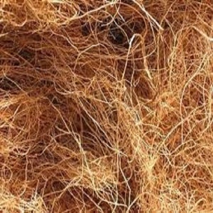 Fibra de fibra de coco natural adecuada para muebles de esterilla de cuerda de cepillo de colchón y producción artesanal para compradores de exportación - Product Image 2