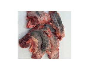 Venta al por mayor Tailandia corazones congelados rodilla hueso carne labios a precio barato para la venta - Product Image 3