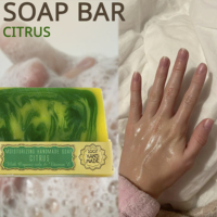 Savon Solide Artisanal Bio à l'Essence d'Agrumes de Qualité Supérieure, Marque Privée OEM ODM, 80g, Fait Main, Naturel, pour le Corps et le Visage