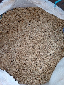 Graines de sésame blanches naturelles biologiques de qualité alimentaire, Sésame Indicum séché, avec une durée de conservation de 2 ans, pour la transformation alimentaire et la vente en gros - Product Image 3