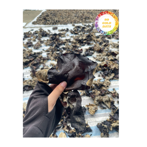 Champignon noir séché Champignon d'oreille en bois du Vietnam pour les ingrédients de cuisine et l'emballage des restaurants - Product Image 6