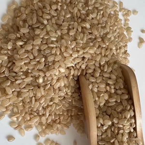 Arroz de grano entero Japonica de alta calidad, nutritivo, de grano corto, secado suave, elección diaria, póngase en contacto con la Sra. Kayla + 84 85 693 9777 - Product Image 5