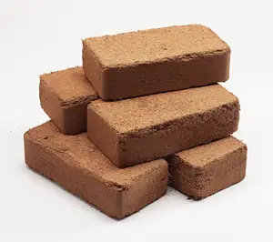 Coco Peat 650gms Bricks For Potting Soil
