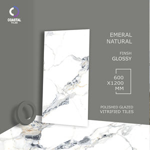 Carreaux de sol en porcelaine de qualité supérieure AAA+ Emeral Natural 60x120mm, design moderne, brique réfractaire, collection exclusive personnalisée - Product Image 1