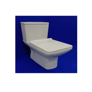 Professional Manufacturer of Widely Used Ceramic Two Piece Water Closet with Gravity Flushing Method for Home Usage
