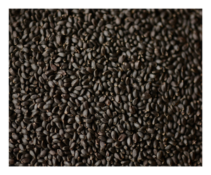 Semillas de Ocimum Basilicum Premium |   Suministro a Granel |   Mejor Precio para Fabricantes de Bebidas - Product Image 6