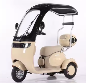 ¡GRAN OFERTA! Triciclos Eléctricos Deportivos de Tres Ruedas para Operador, Fabricados por [Nombre del Fabricante] - Product Image 2