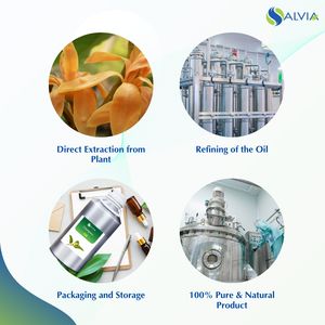 Huile de Champaca 100% pur et naturel en gros en vrac prix le plus bas emballage personnalisé - Product Image 4
