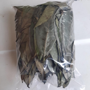 FEUILLES DE SOURSOP SÉCHÉES AU SOLEIL/POUR BOISSONS SAINES AUX HERBES/FABRIQUÉES AU VIETNAM - Product Image 1