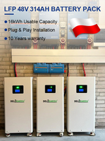 Paket Baterai Lifepo4 Poland Stock Grade A Cell 314Ah 16kWh 51.2V 48V Baterai Lithium Ion untuk Penyimpanan Rumah, Sistem Baterai Surya Rumah