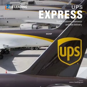 Professional Express Freight and Shipping <span class=keywords><strong>Agent</strong></span> Services for México Imports Door to door 1688 agente - Product Image 6