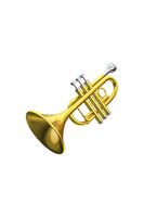 Premium Brass Bugle Horn With Authentic Tone Perfect For Weddings Anniversaries Cultural Functions And Musical Performances