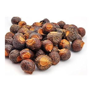 Herbojit International, Extracto Herbal de Reetha (Bola de Jabón India) 100% Puro de Alta Calidad, Extracción por Solvente, Suministro a Granel, Confiable - Product Image 1