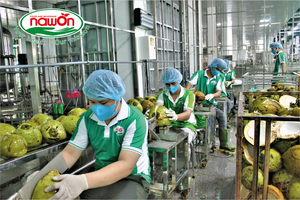 500ml NAWON lata agua de coco prebiótico con cereza bebida producto desarrollo fabricante directorio sin azúcar en Vietnam - Product Image 6