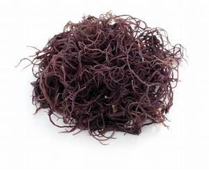 สาหร่ายสีขาวตากแดดคุณภาพสูงจากเวียดนาม: ธรรมชาติพร้อมส่งออกและคุ้มค่า - Product Image 6