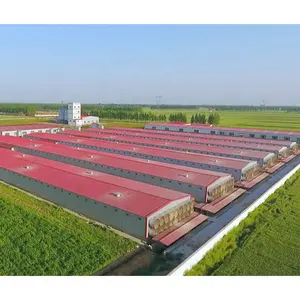 Fábrica de China granja avícola Casa de pollo casa de engorde granja avícola estructura de acero cobertizo de granja