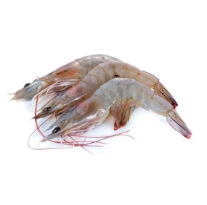Camarones Vannamei HOSO Congelados 20/30 30/40 40/50 Calidad Premium - Product Image 1