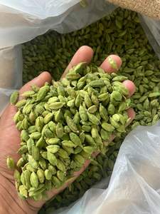 Vainas de Cardamomo Verde Puro |   Calidad Seleccionada a Mano |   Suministro al por Mayor en India - Product Image 2