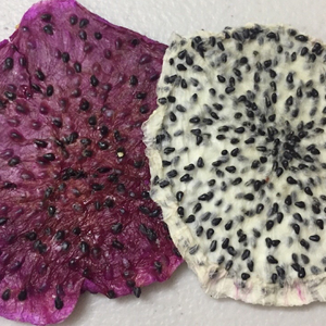 Fruit du dragon naturel sec Pitahaya pour collation - Product Image 4