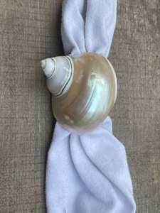 Anillo para Servilletas de Calidad Vietnamita, Porta Servilletas con Diseño de Caracol y Concha para Organizar Servilletas y Decorar Recepciones de Boda - Product Image 5