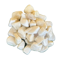 Vente directe usine – Galets décoratifs blancs en dolomite pour jardins, cours arrière, parcs – Galets écologiques et adaptés aux poissons