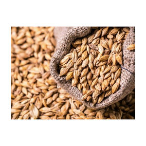 Grano de trigo integral orgánico de alta calidad a granel, textura blanda y dura, suministro mayorista barato - Product Image 2