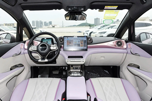 รถแฮทช์แบค2023-2024 BYD ลายปลาโลมา5-Seater พลังงานใหม่302/401/420กม. ช่วงเบาะหนังขับเคลื่อนล้อหน้า - Product Image 4