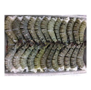 Camarones Tigre Congelados HLSO - Suministro al por Mayor de Camarones Tigre HLSO - Product Image 6