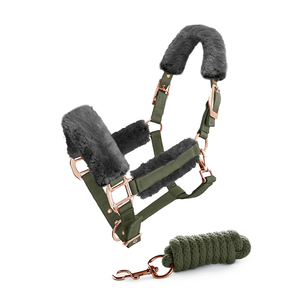 Licol de cheval imperméable sur mesure, collier de tête en nylon à taille haute, logo sur le devant, réglable, équipement équestre, longe pour cheval - Product Image 2