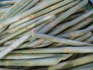 Caña de Azúcar Congelada de Vietnam |   Directo de Fábrica |   Suministro a Granel - Product Image 2