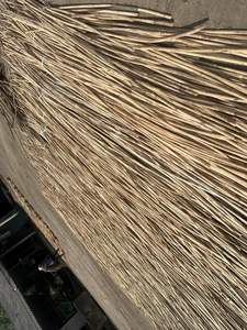 Material de Ratán de Alta Calidad, Caña/Palo de Ratán de Fábrica en Vietnam - Product Image 4