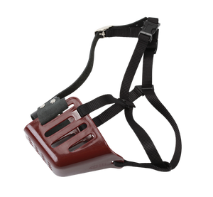 Bozal perro - Product Image 1