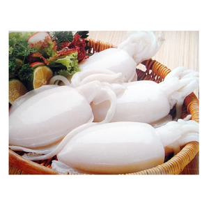 เนื้อปลาหมึกแช่แข็ง - ขายส่งเนื้อปลาหมึกจำนวนมาก - Product Image 6