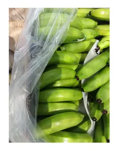 Gran oferta de plátanos frescos, plátano Cavendish verde, plátanos tropicales, plátanos verdes frescos, fruta fresca Cavendish de Vietnam
