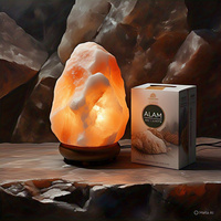 Lampe de sel de l'Himalaya rose, biologique et naturelle, certifiée HACCP, sculptée avec des motifs animaux, floraux, croix, Feng Shui et religieux, respectueuse de l'environnement