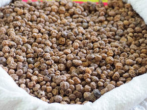 Nueces de Tigre Orgánicas Puras Blanqueadas y Secas, Cultivo Natural en Austria, Paquete a Granel, Grado 100, 24 Meses de Vida Útil, Buenas Ofertas - Product Image 5