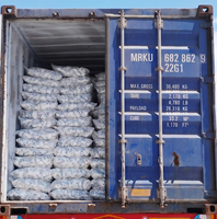Sel de mer égyptien de qualité supérieure Kampala 200g |   Poudre raffinée blanche pure à 99 %, iodée, durée de conservation de 2 ans, Mr.Salts, sacs en vrac