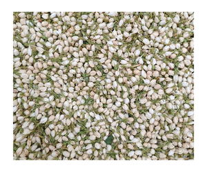 Thé aux fleurs de jasmin entier de qualité supérieure directement de la ferme - Product Image 2