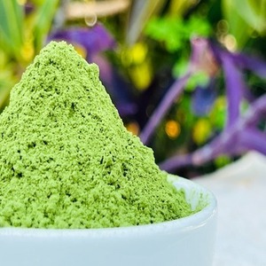 Tốt nhất Hoang Dã <span class=keywords><strong>Moringa</strong></span> lá bột tinh khiết tỷ lệ <span class=keywords><strong>4</strong></span>:<span class=keywords><strong>1</strong></span> chiết xuất thảo dược chân không đóng gói trong số lượng lớn thực vật tự nhiên chiết xuất - Product Image 4