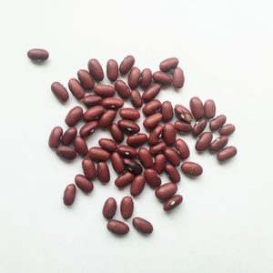 Haricots rouges séchés riches en protéines nutritifs en vrac vente en gros récolte naturelle exportation de haricots rouges pour le marché mondial - Product Image 1