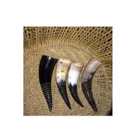 100% meilleure corne de buffle naturelle à pointe solide de 10 cm à 40 cm à vendre pour différentes tailles et produits chauds corne de bétail brute
