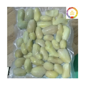 Cubo de Jengibre Orgánico Congelado IQF, Entero, Fresco y Pelado, Suministrado por Fábrica de Vietnam, Especia Premium para Uso Industrial - Product Image 6