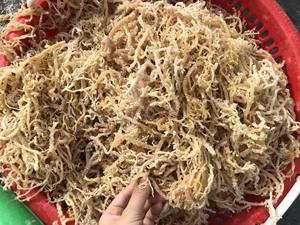 Algas marinas secas de alta calidad Cottonii-Algas marinas secas Eucheuma Cottonii-Algas marinas Cottonii de 99 Gold Data Vietnam - Product Image 6