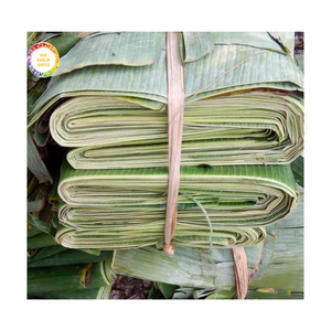 FEUILLES DE BANANE CONGELÉES DU VIETNAM DE L'EXPORTATION DE BANANE VERTE FRAIS DE HAUTE QUALITÉ - Product Image 1