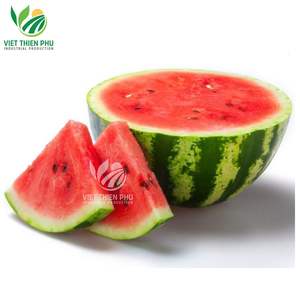 [VIETNAM] DADOS DE SANDÍA CONGELADA PRECIO AL POR MAYOR ALTA CALIDAD TEMPORADA MÁS NUEVA 2024 - Product Image 6