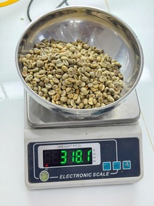 NOUVEAU CROP 2025 Vietnam Robusta Coffee Bean S18 Cleaned TOP SALE QUALITY (Kath Hanfimex 0084327324400) - Product Image 3