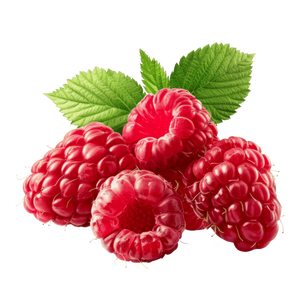 Frambuesas Rojas Frescas de Primera Clase para Exportación, Sin Semillas, Dulces, con Alto Contenido de Brix 10+, Venta al Por Mayor - Product Image 1