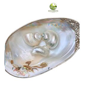 Coquillage décoratif poli à la main de style fleur en nacre naturelle Zina Eco Green Vietnam pour aquarium, mariage et maison - Product Image 2