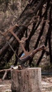 Custom Handmade Industrial High Carbon Steel Viking Tomahawk Hatchet with Leather Sheath for Camping Outdoor <b>Survival</b> - Product Image 4